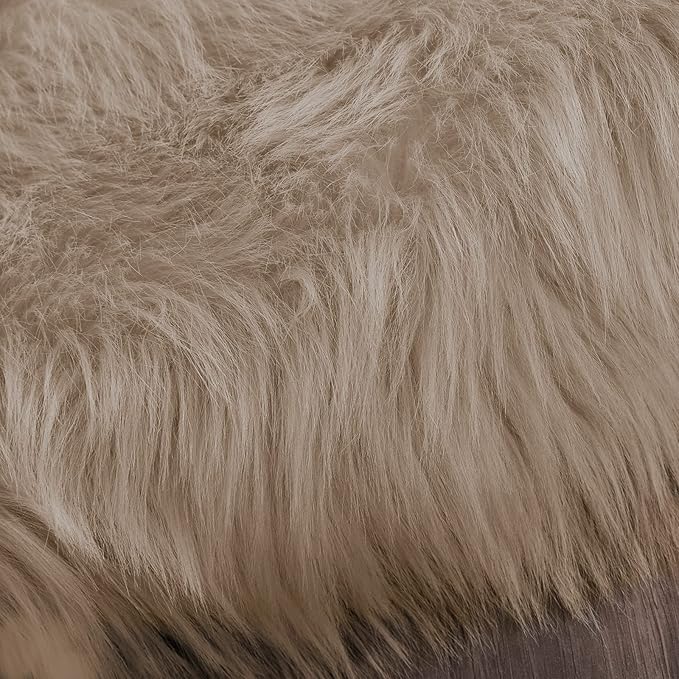Latepis Small Area 2x4 Rug Brown Beige Fur Rug 60% Acrylic 40% polyester Shaggy Rugs for Bedroom Washable Shag Rugs for Living Room Dorm Cushion Home Décor