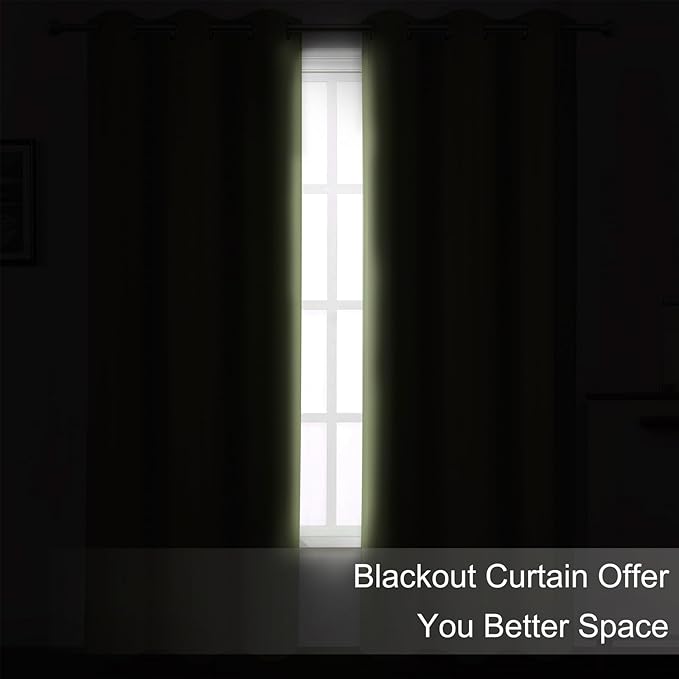 LEMOMO Sage Green Thermal Blackout Curtains/52 x 54 Inch/Set of 2 Panels Room Darkening Curtains for Bedroom