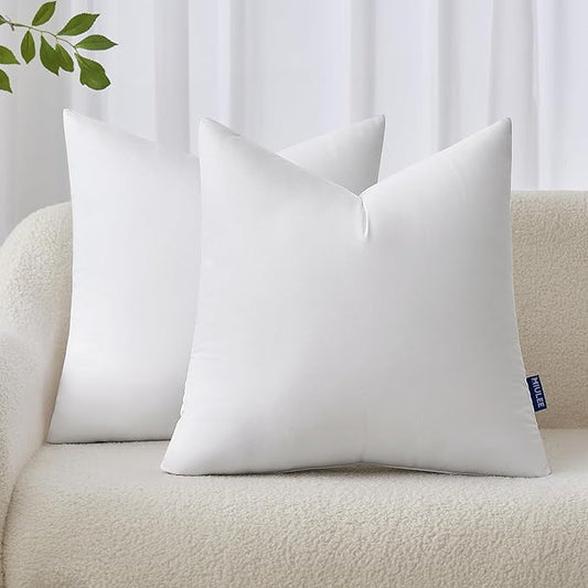 MIULEE 22x22 Inches Pillow Inserts Pack of 2, Decorative Throw Pillow Inserts for Couch