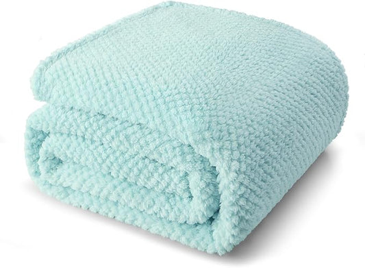 Whale Flotilla Twin Size Fuzzy Fleece Blanket for Bed, 60x80 Inch Fluffy Warm Soft Jacquard Blankets for All Season, Lightweight and Cozy, Light Blue