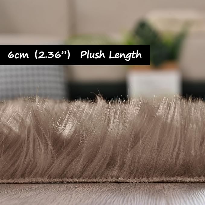 Goolela Fluffy Faux Fur Rug for Bedroom 4x6 Light Brown Beige Sheepskin Fuzzy Furry Soft Rug for Living Room Bedside Dorm Plush Shaggy Washable Rectangle