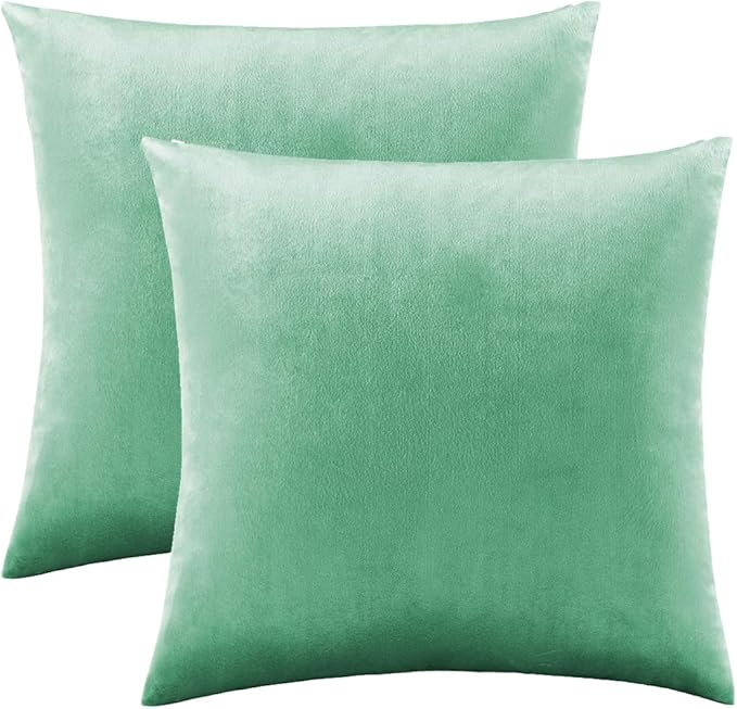 GIGIZAZA Decor Throw Couch Pillow Covers,Set of 2 Sofa Cushion Mint Turquoise Pillow Covers,Velvet Pillow Cases 24 x 24inch