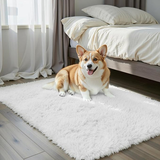 Small Rugs for Bedroom 2x3 Fluffy, Soft Fuzzy Area Rug for Living Room Dorm, Non Slip Shag Rugs for Girls Boys Bedroom, Soft Kids Carpet, Modern Home Decor Aesthetic(2 x 3, White)