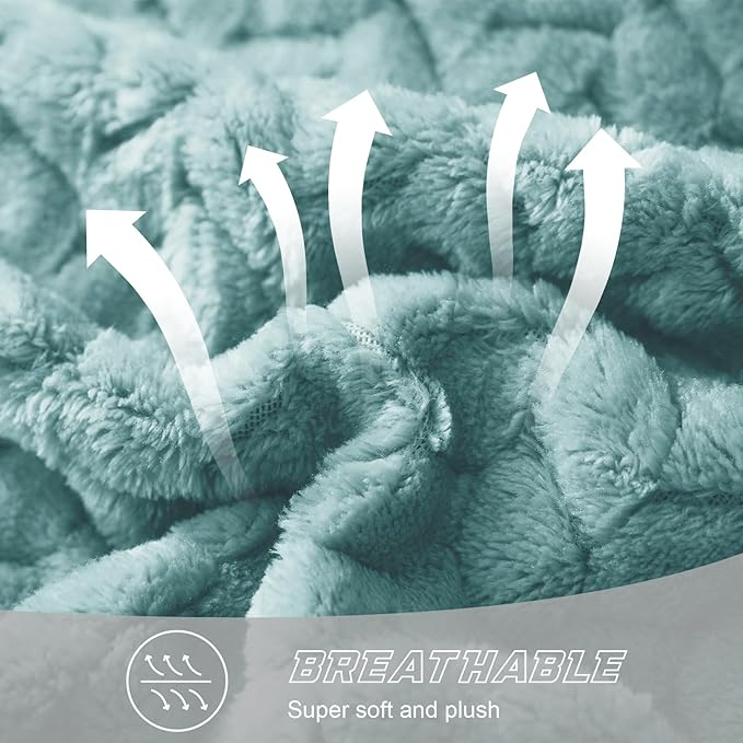 Exclusivo Mezcla Fleece Throw Blanket for Couch and Bed, 50x70 Inches Soft Cozy Jacquard Flannel Blankets, Lightweight Fuzzy Plush Warm Throws for Women, Celadon