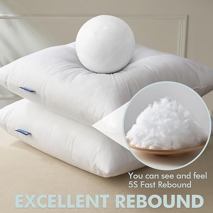MIULEE Pillow Insert 20x20 Inch Set of 4, Decorative Square Throw Pillow Inserts, Premium Fluffy Pillow Forms Sham Stuffer for Sofa Couch Living Room