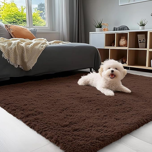OLANLY 4x4 Machine Washable Accent Rug, Soft Fluffy Shaggy Area Rug for Bedroom, Living Room, Indoor Floor Carpet for Kids, Nursery, Home Decor, Coffee