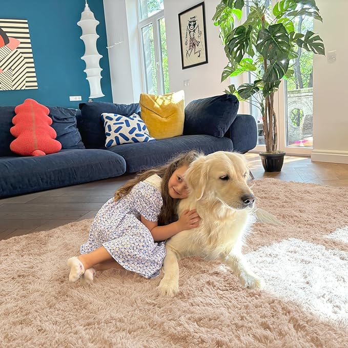 OLANLY 6x10 Machine Washable Large Area Rugs for Living Room, Bedroom, Soft Fluffy Shaggy Bedside Rug, Indoor Floor Carpet for Kids Girls and Boys, Dorms, Nursery, Home Decor Aesthetic, Beige
