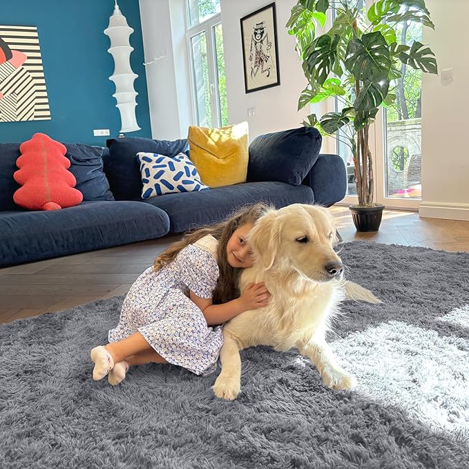 OLANLY 7x10 Machine Washable Large Area Rugs for Living Room, Bedroom, Soft Fluffy Shaggy Bedside Rug, Indoor Floor Carpet for Kids Girls and Boys, Dorms, Nursery, Home Decor Aesthetic, Light Grey