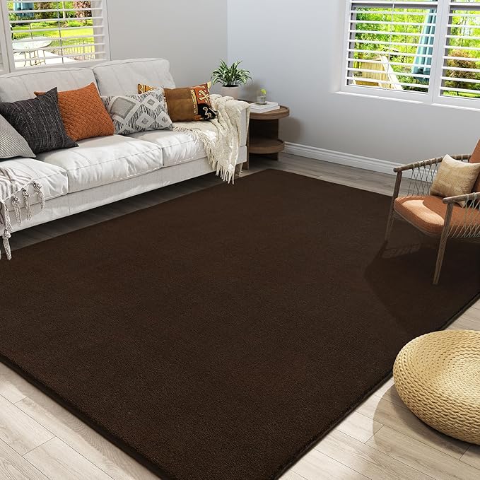 Amearea Modern Area Rugs for Bedroom Living Room, 4x6 Feet Brown Thickened Memory Foam Rug, Fluffy Indoor Washable Rugs Non Slip Minimalist Carpet for Kids Boys Girls Dorm Nursery Room Decor