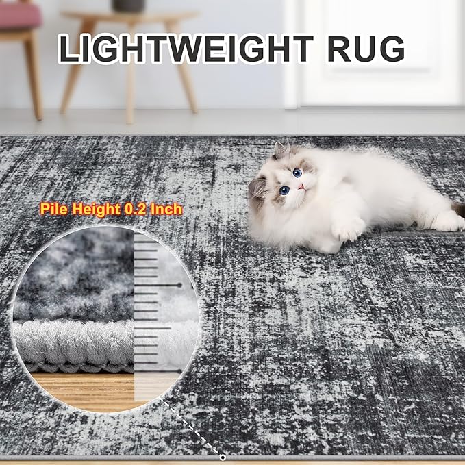 Area Rugs Living Room Rug - 5x7 Washable Modern Abstract Soft Neutral Non-Slip Carpet Large Indoor Floor Thin Carpets for Bedroom Dining Room Farmhouse Nursery Home Office Dark Black