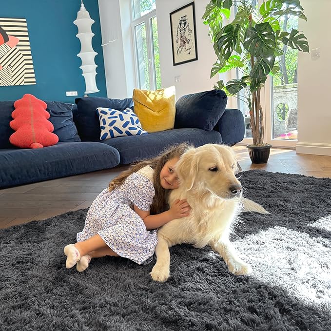 OLANLY 6x11 Machine Washable Large Area Rugs for Living Room, Bedroom, Soft Fluffy Shaggy Bedside Rug, Indoor Floor Carpet for Kids Girls and Boys, Dorms, Nursery, Home Decor Aesthetic, Grey