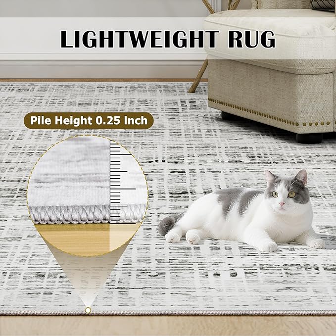 6x9 Area Rugs Washable Rug: Anti-Skid Abstract Modern Living Room Rug Soft Thin Carpets Indoor Floor Non-Shedding Carpet for Bedroom Dining Farmhouse Nursery Home Office (White Gray, 6'x9')