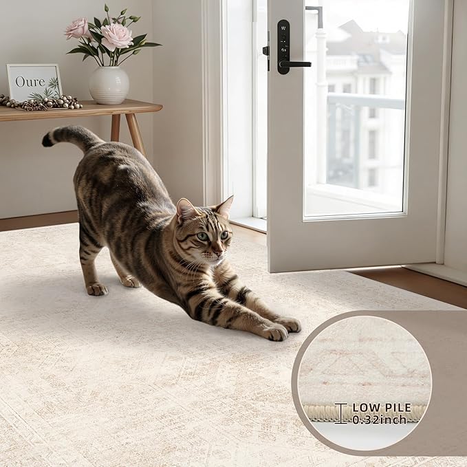 5x7 Area Rugs for Living Room: Vintage Boho Neutral Washable Rug Indoor Soft Large Area Rug Carpet for Bedroom Nursery Farmhouse Dining Room Office Floor Non-Slip Low Pile Under Table Rug Beige