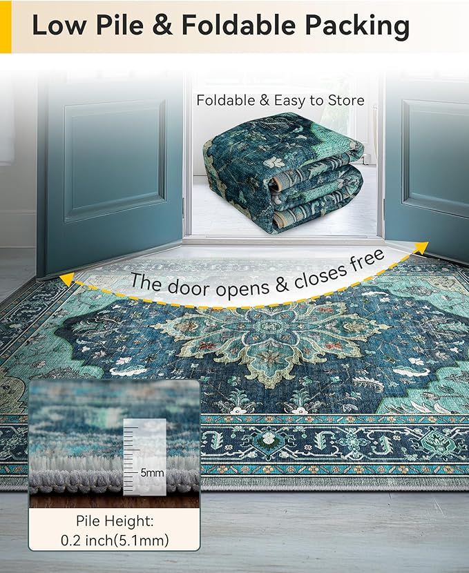 Area Rugs 2'x3' Kitchen Rugs Entry Rug Small Rugs for Entryway Kitchen Bathroom Door Mat Indoor Entrance,Washable Non Slip, Teal Green Lake Blue Turquoise