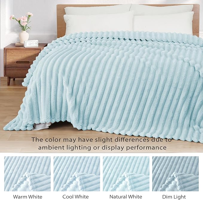 Exclusivo Mezcla Queen Size Flannel Fleece Blanket, Super Soft Striped Jacquard Bed Blanket, Lightweight Fuzzy Cozy for All Seasons, 90x90 Inches, Light Blue