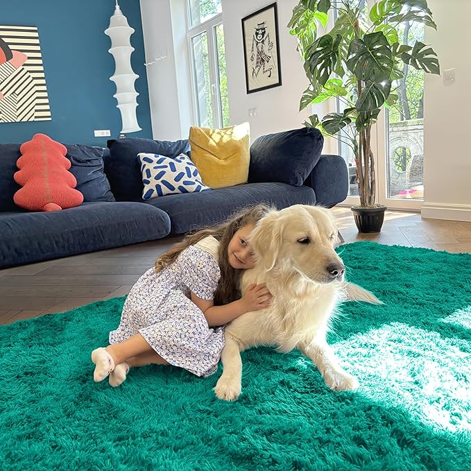 OLANLY 5x7 Machine Washable Large Area Rugs for Living Room, Bedroom, Soft Fluffy Shaggy Bedside Rug, Indoor Floor Carpet for Kids Girls and Boys, Dorms, Nursery, Home Decor Aesthetic, Teal Green