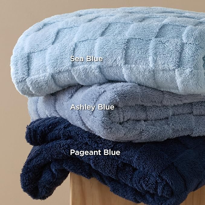 Bedsure GentleSoft Ashley Blue Throw Blanket for Couch - Checkered Fleece Blankets Gifts for Kids Girls, Cute Soft Cozy Throw for Bedroom Home Decor Gifts, 50x60 Inches