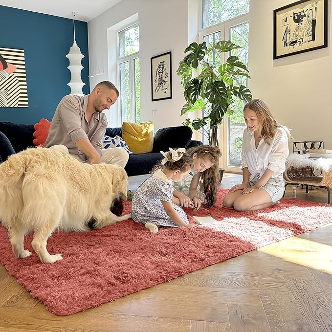 OLANLY Area Rugs for Living Room Bedroom, Machine Washable 4x5.9 ft Soft Fluffy Shaggy Bedside Rug, Indoor Floor Carpet for Kids Girls and Boys, Dorms, Nursery Rooms, Home Decor Aesthetic, Rust Red