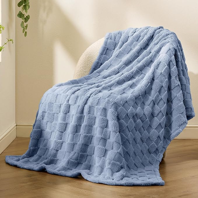 Bedsure GentleSoft Twin Blanket for Bed Ashley Blue - Super Soft Cozy Blankets for Kids Girls, Cute Fuzzy Fleece Throws for Bedroom Couch, 60x80 Inches